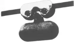 Conductor with attached weight