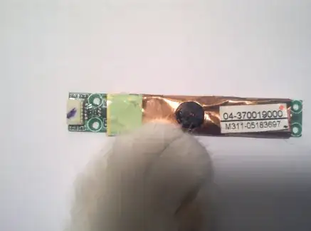 Top view with cat paw