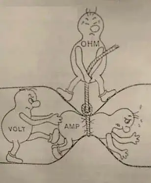 analogie