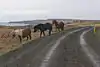 Vatnsnesvegur, Iceland