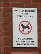 dog=no