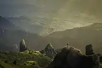 Wilderness