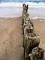 Épi partant de la plage