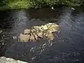 Outcrop in the River Dee in Scotland, United Kingdom