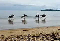One example for Élément cartographique : Équitation