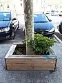 Baumbank / Tree seat