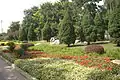 Greenery in Beijing