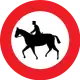 B 31
