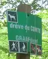 Only cycle and foot, dog on leash