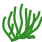 seagrass simplified version