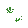 seagrass simplified version