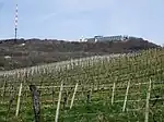 Kahlenberg