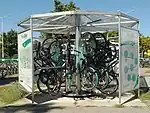 Bicycle Tree