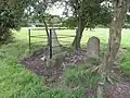 Kiltera ogham stones, ref:IE:nm=330