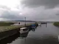 Wasser hamse auch