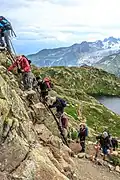 ladders