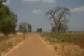 Unclassified road near Salima
