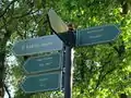 Crazy Russian to English translation of the Navigation sign on https://www.openstreetmap.org/?lat=59.9791&lon=30.25839&zoom=15&layers=M Elagin ostrov]  in Saint Petersburg, Russia (see the right-most one).