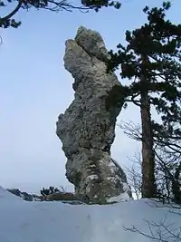 Arnsteinnadel