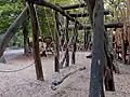 rope_swing