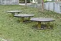 spring_board