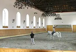 Bábolna - HU
