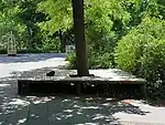 bench:type=platform