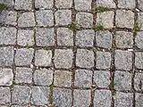 sett:shape=square