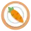 an orange carrot with small green leaves on an orange background