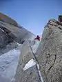 In a gully